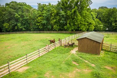 horse boarding facility in pa 04