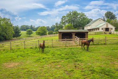 horse boarding facility in pa 09